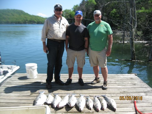 Nice Striped Bass